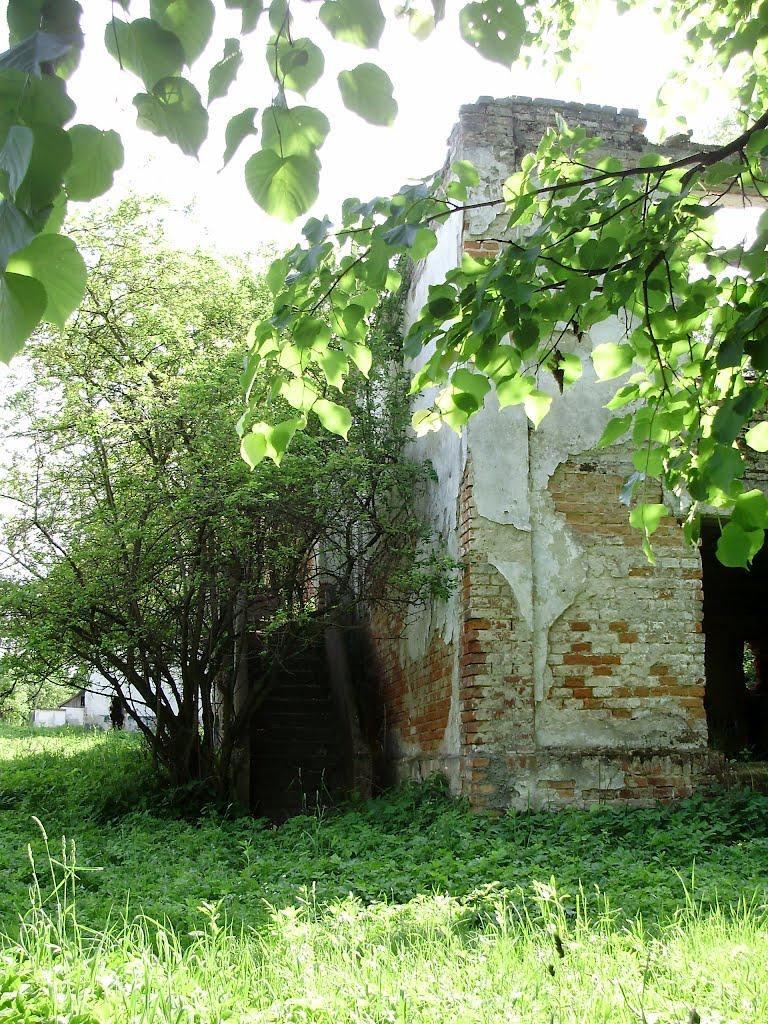 Черниця з panoramio.com - Черниця