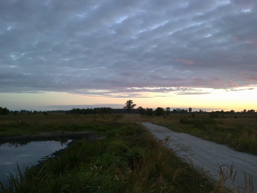 Бондарівка з panoramio.com - Бондарівка