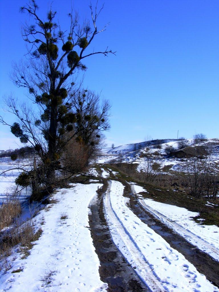Жашків з panoramio.com - Жашков