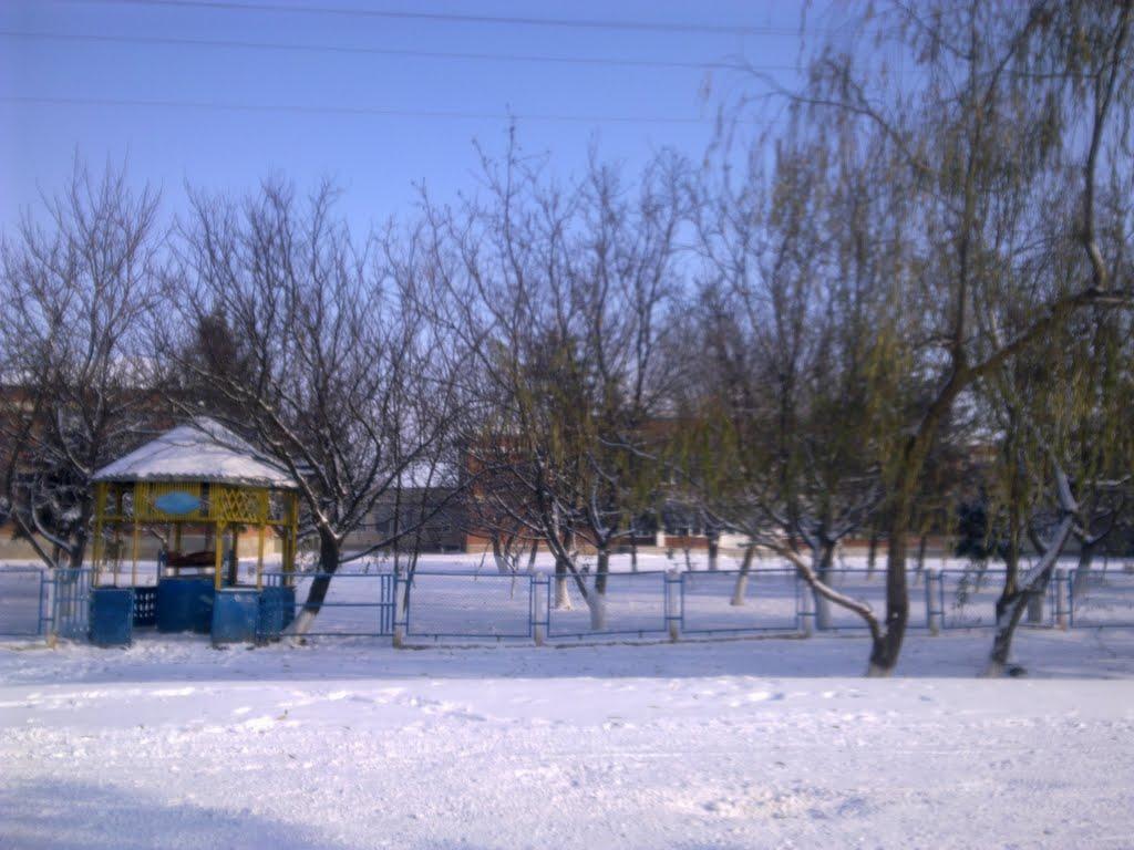 Петрівськ з panoramio.com - Петровск