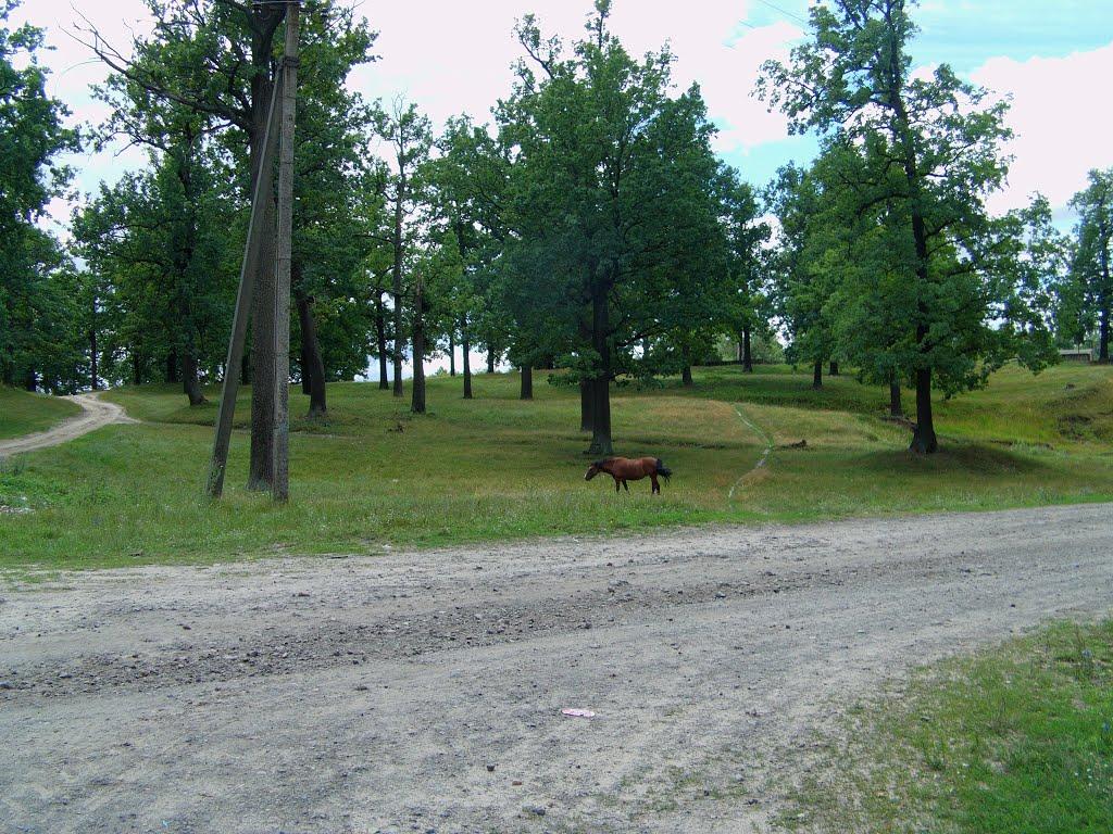 Свеса з panoramio.com - Свеса