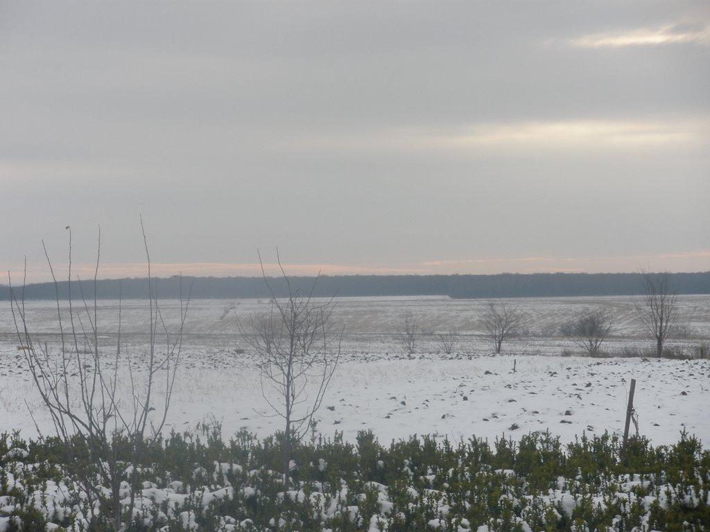 Зелені Курилівці з panoramio.com - Зелені Курилівці