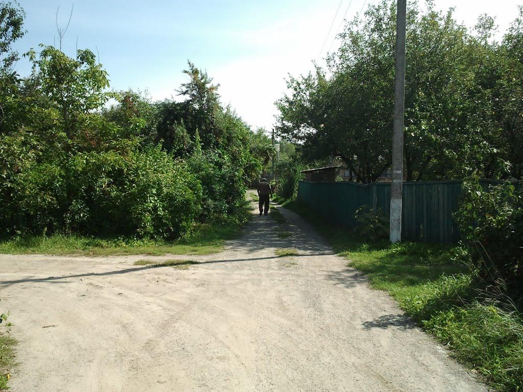 Торф'яне з panoramio.com - Торфяное