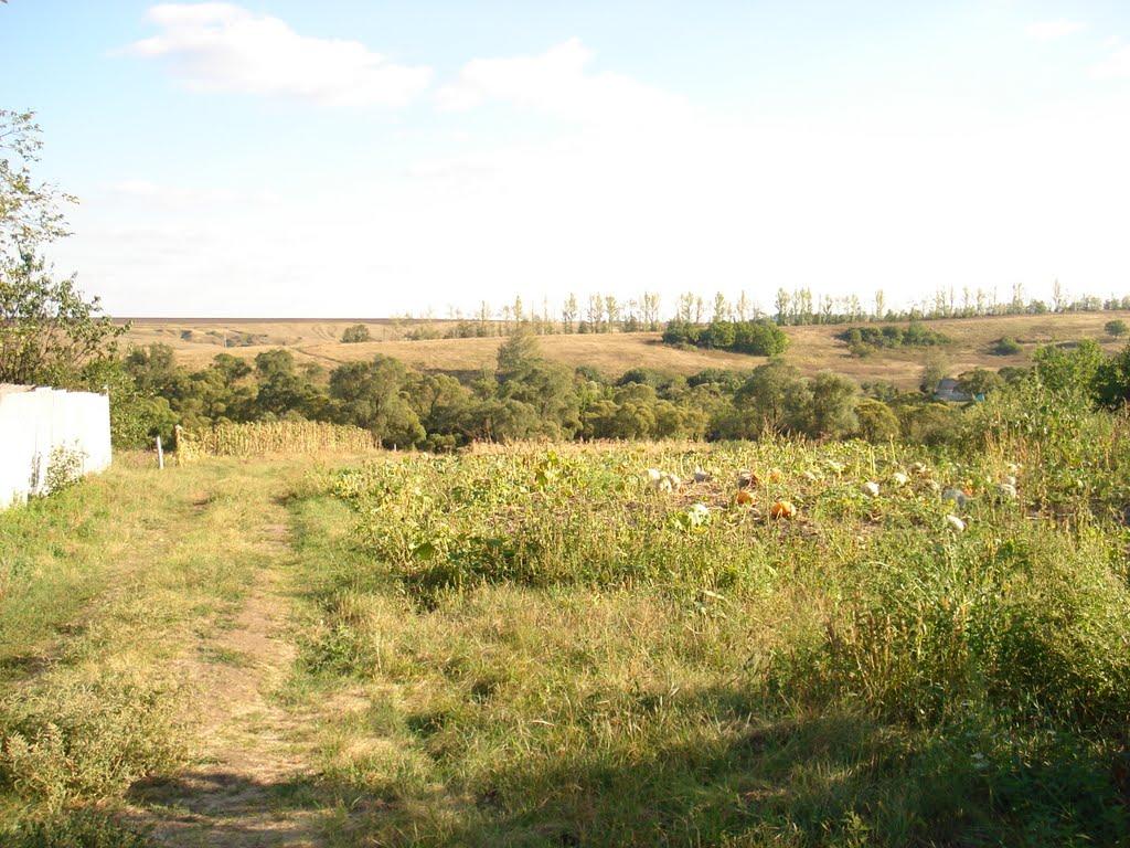 Берека з panoramio.com - Берека