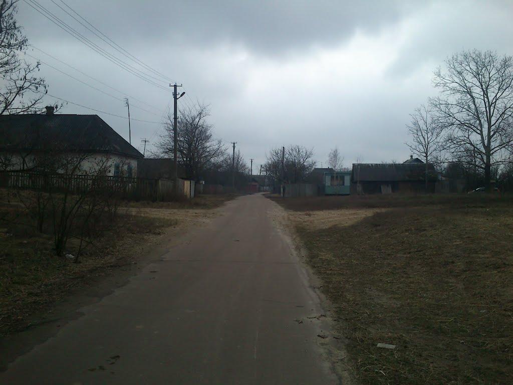 Губичі з panoramio.com - Губичі