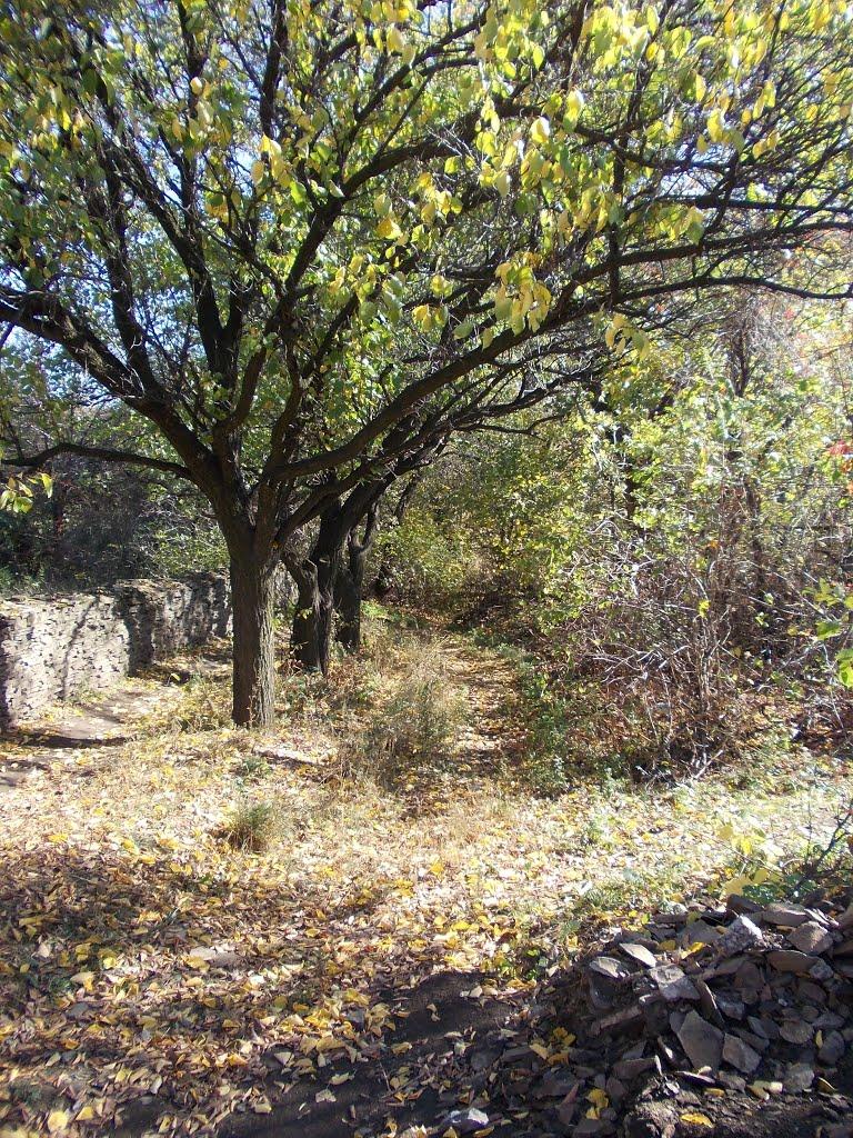 Шахтарськ з panoramio.com - Шахтарськ