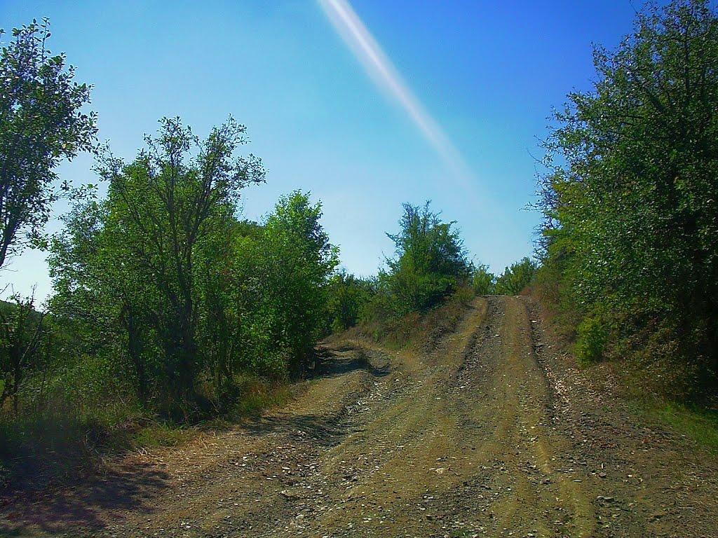 Синапне з panoramio.com - Синапне