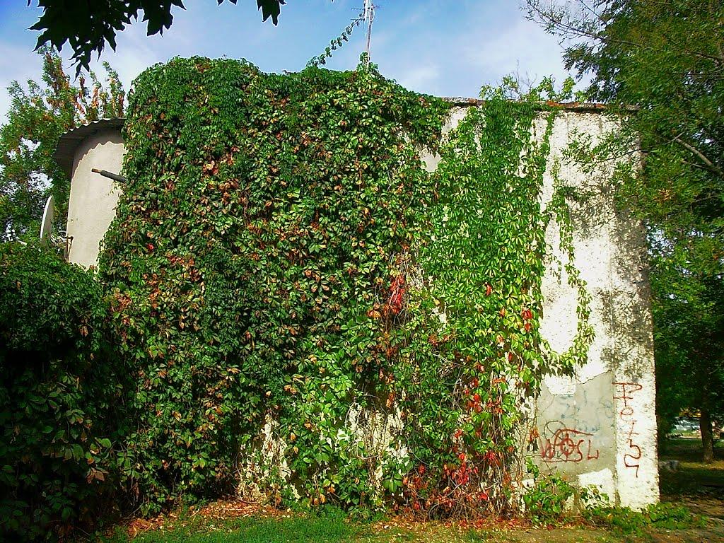 Молодіжне з panoramio.com - Молодежное