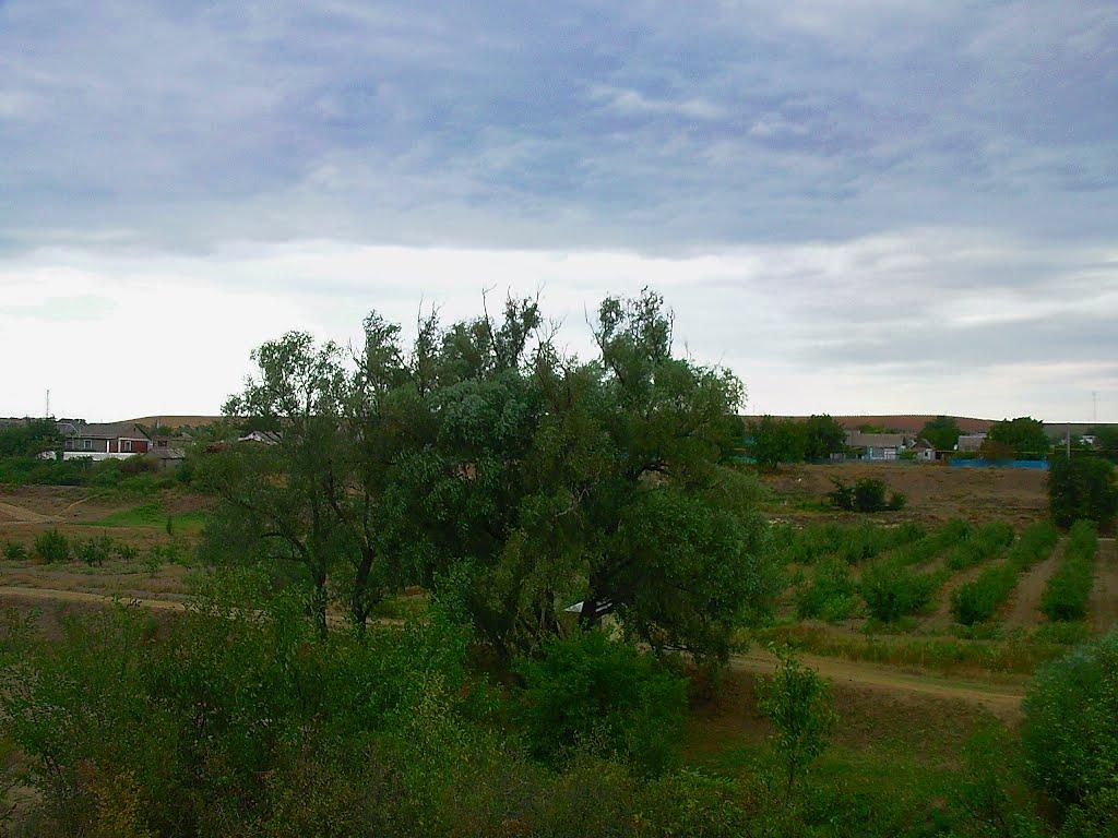 Шевченкове з panoramio.com - Шевченково