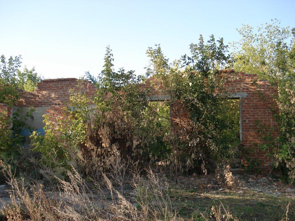 Берека з panoramio.com - Берека