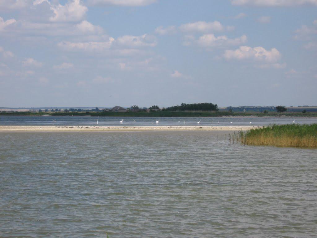 Білосарайська Коса з panoramio.com - Белосарайская Коса