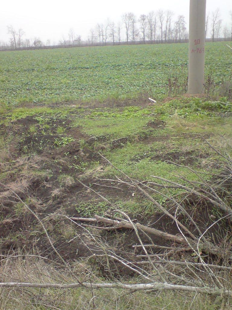 Смоліне з panoramio.com - Смоліне