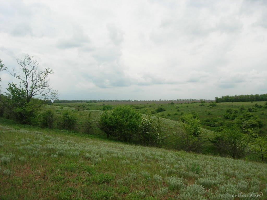 Кіровка з panoramio.com - Данилівка