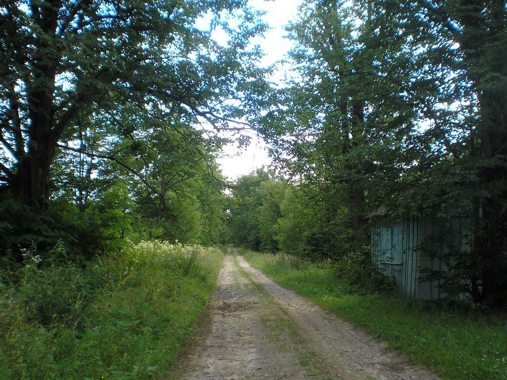 Аршиця з panoramio.com - Arshytsya
