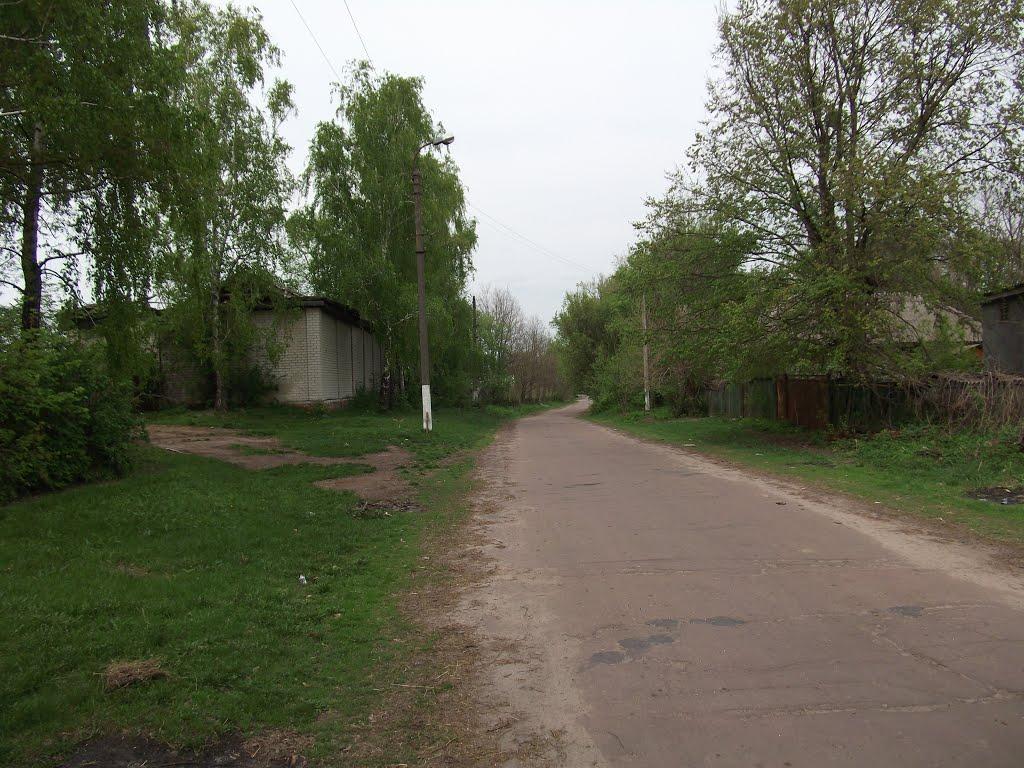 Виблі з panoramio.com - Виблі