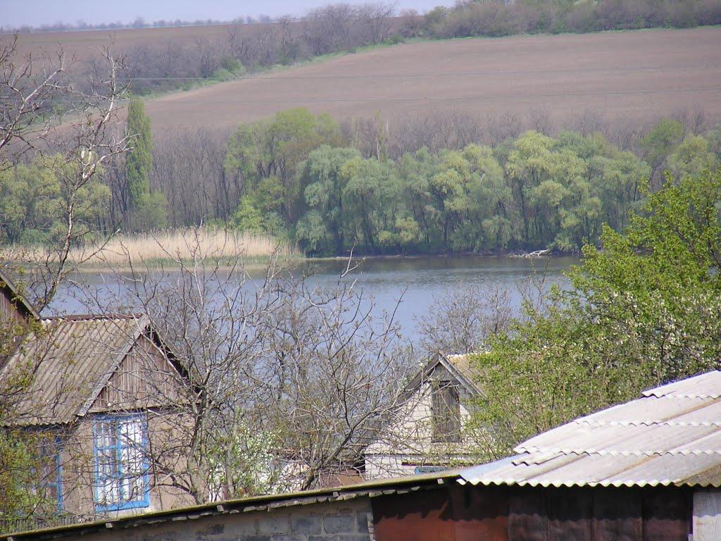 Первомаївка з panoramio.com - Pervomayivka