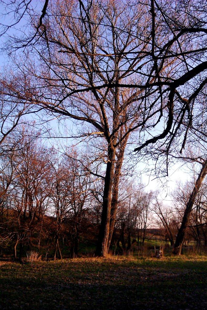 Ровеньки з panoramio.com - Ровеньки