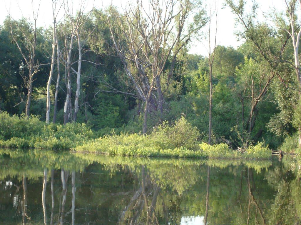 Мала Мочулка з panoramio.com - Мала Мочулка