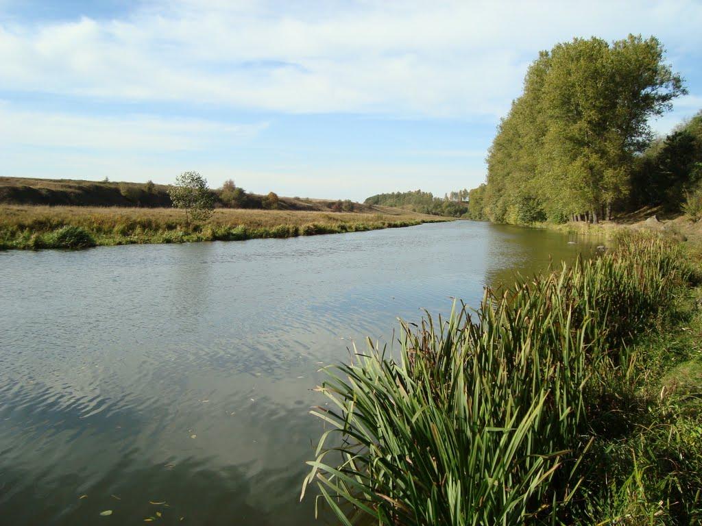 Думенки з panoramio.com - Думенки