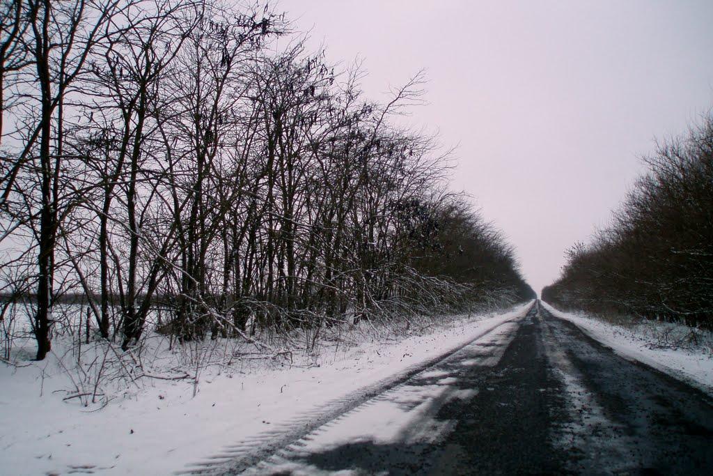 Петрівка з panoramio.com - Петрівка