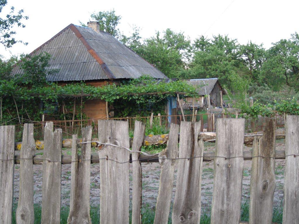 Прохорів з panoramio.com - Прохоров