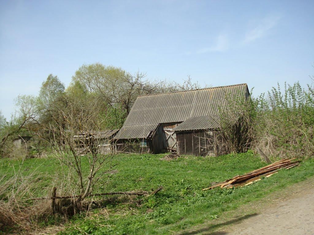 Дроздні з panoramio.com - Дроздни
