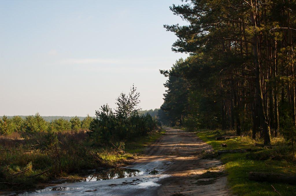 Мала Любаша з panoramio.com - Мала Любаша