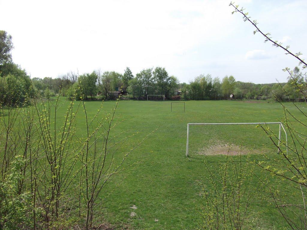 Виблі з panoramio.com - Виблі