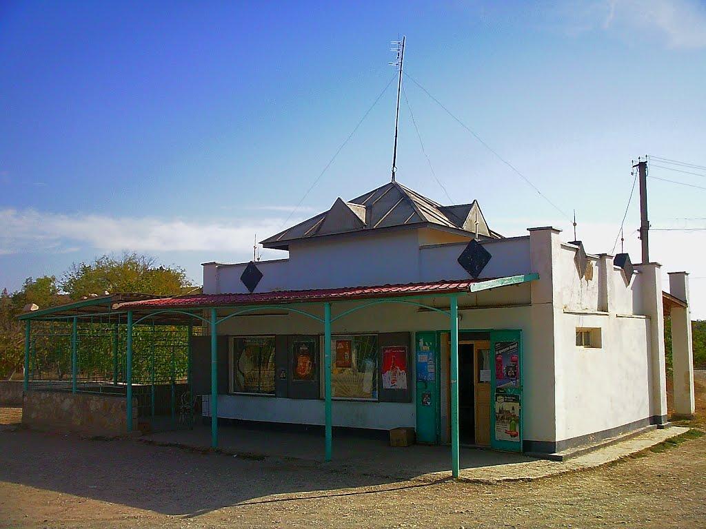 Шевченкове з panoramio.com - Шевченково