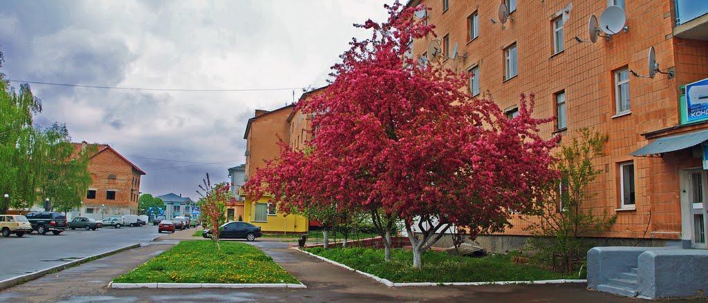 Радивилів з panoramio.com - Радивилов