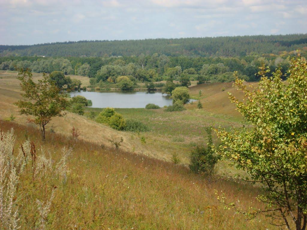 Тригуби з panoramio.com - Тригуби