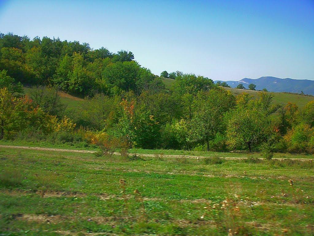 Плотинне з panoramio.com - Плотинное