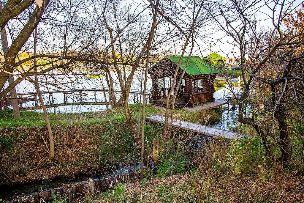 Доля з panoramio.com - Доля