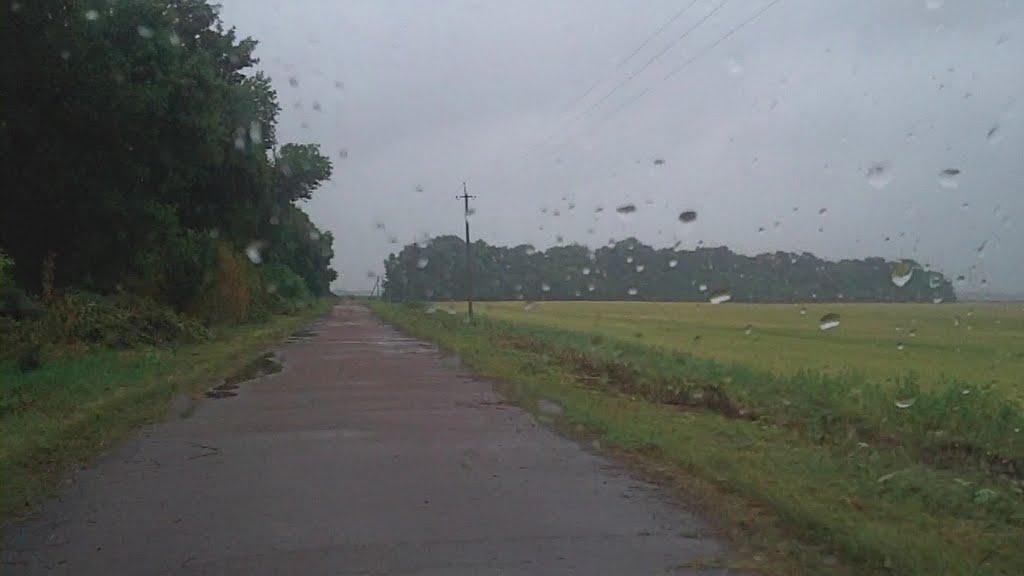 Зелене з panoramio.com - Зелене