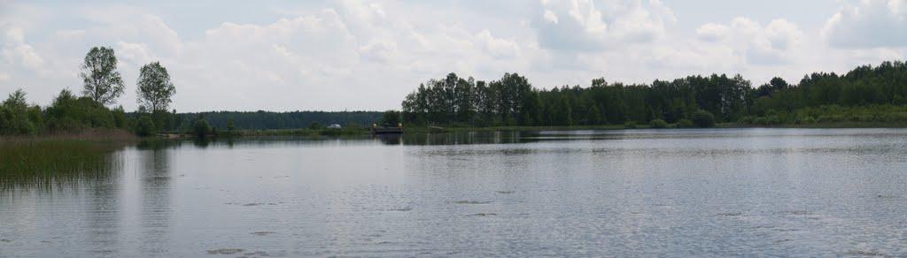 Зорянка з panoramio.com - Зорянка