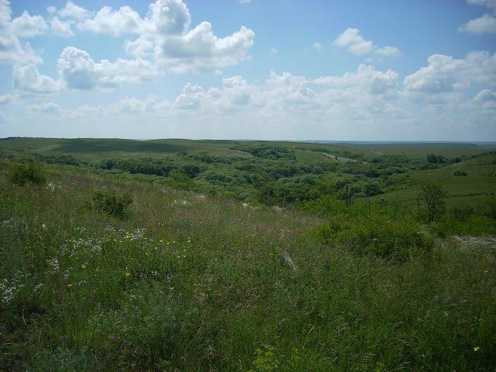 Ровеньки з panoramio.com - Rovenky