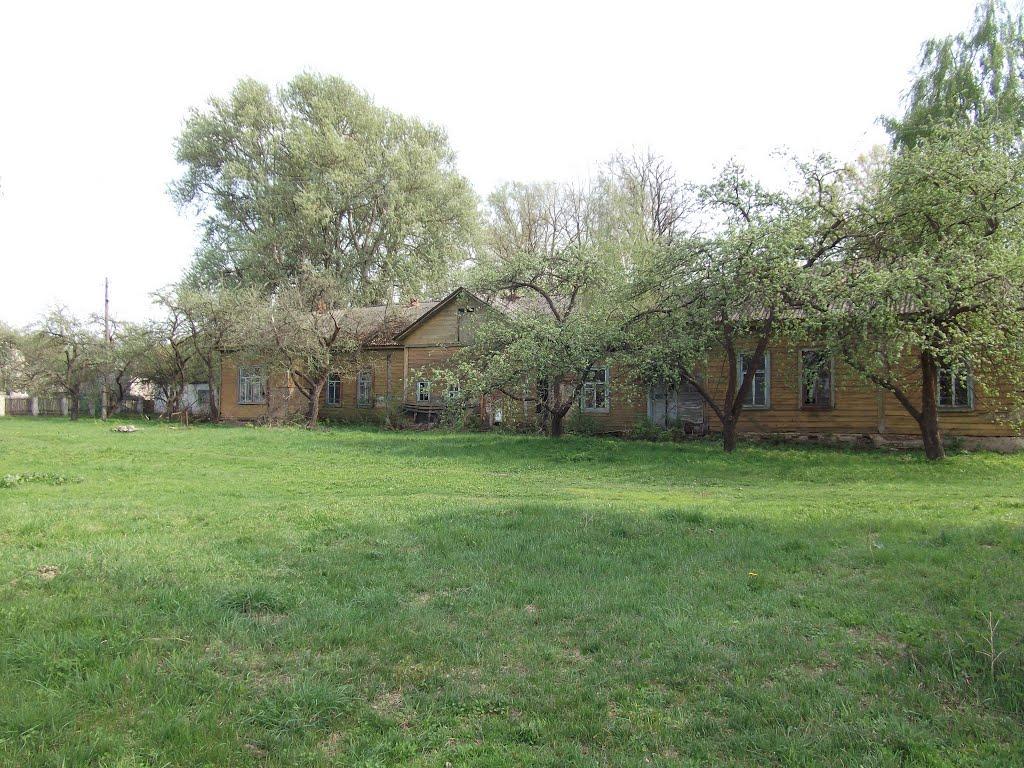 Виблі з panoramio.com - Виблі