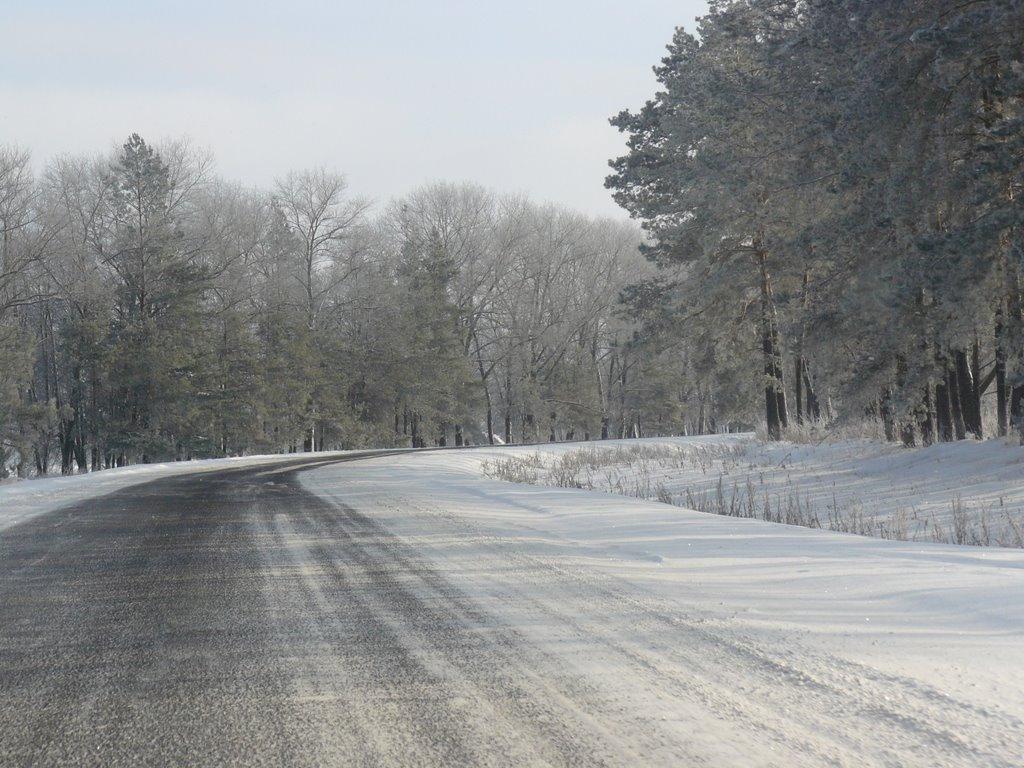 Гамаліївка з panoramio.com - Gamaliyivka