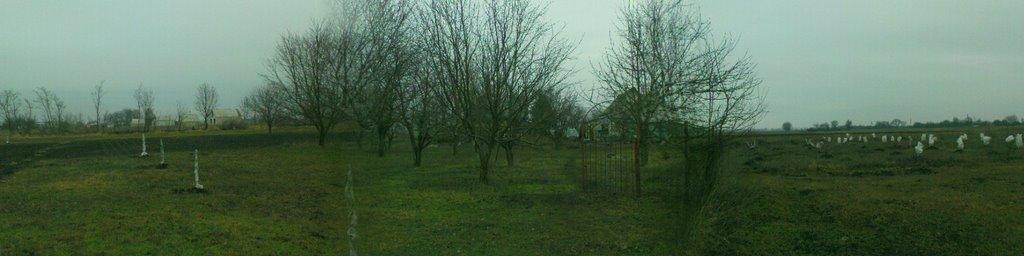 Шевченківка з panoramio.com - Шевченківка