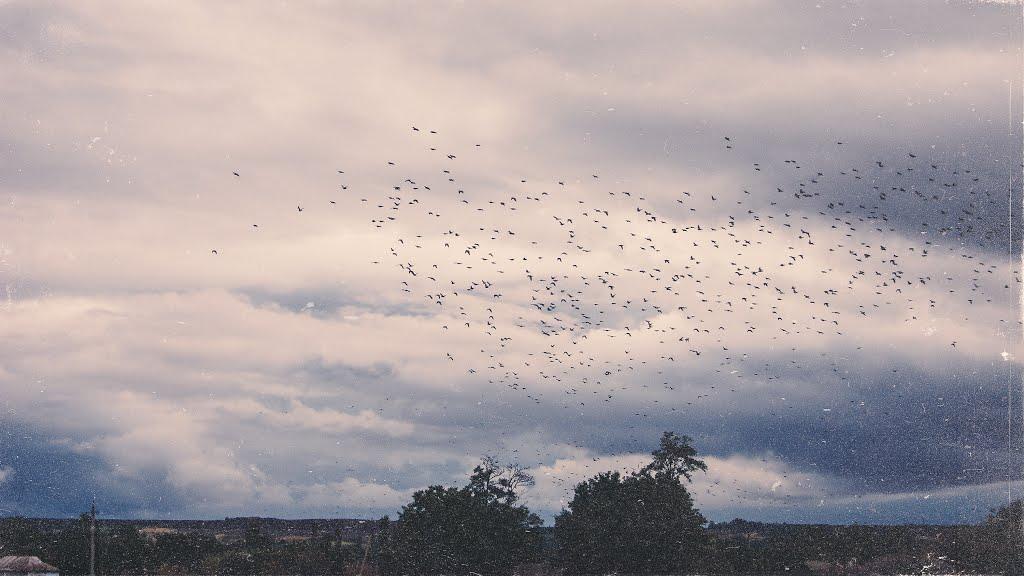 Луканівка з panoramio.com - Лукановка