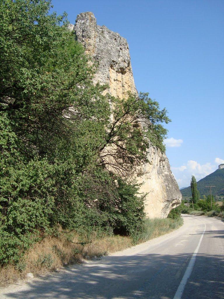 Передущельне з panoramio.com - Передущельне