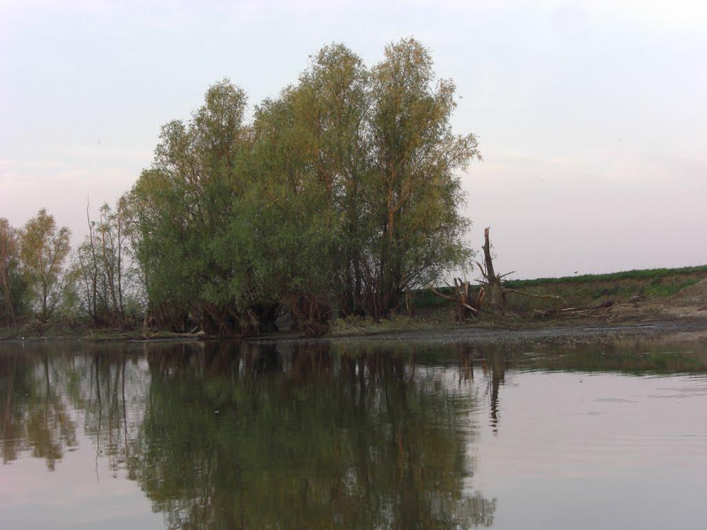 Дунайське з panoramio.com (ч.2) - Dunayske
