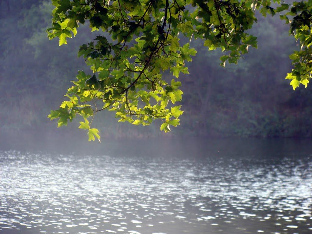 Карло-Марксове з panoramio.com - Карло-Марксово