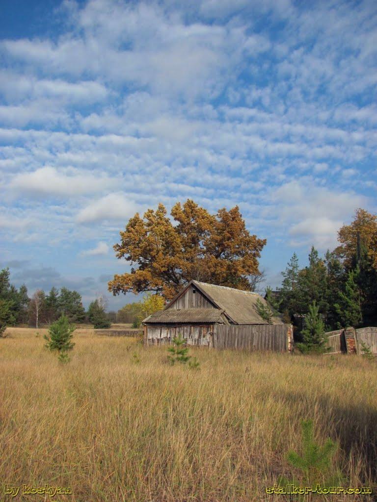 Дитятки з panoramio.com - Dytyatky