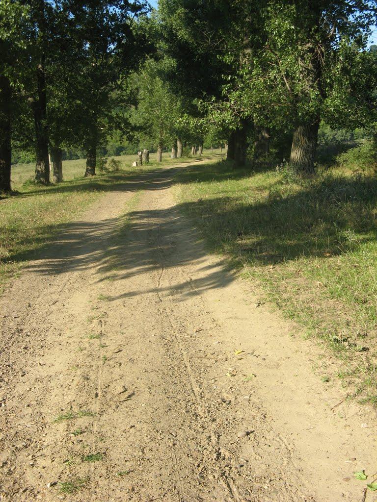 Репужинці з panoramio.com - Repuzhyntsi