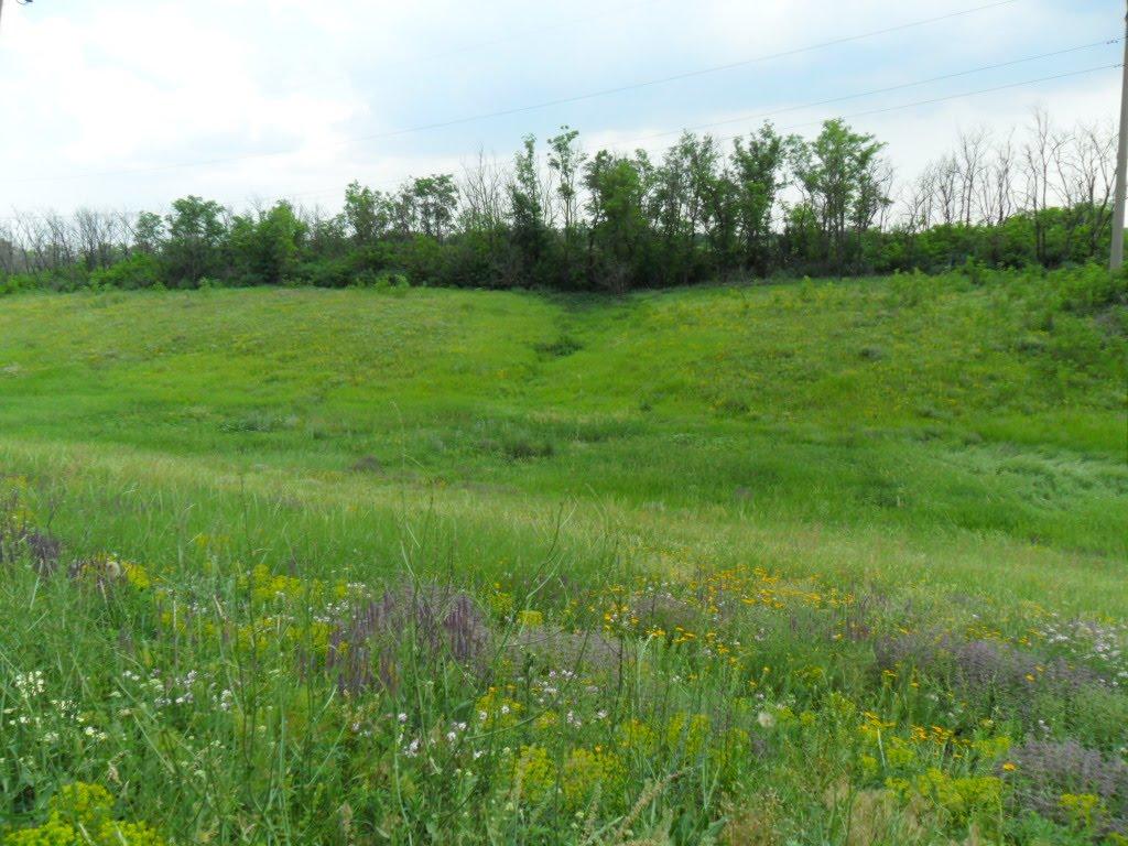 Пищевик з panoramio.com - Пищевик