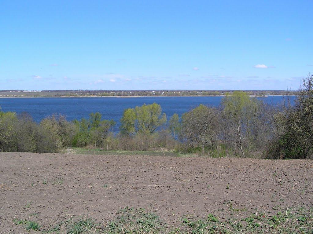 Вороне з panoramio.com - Вороное