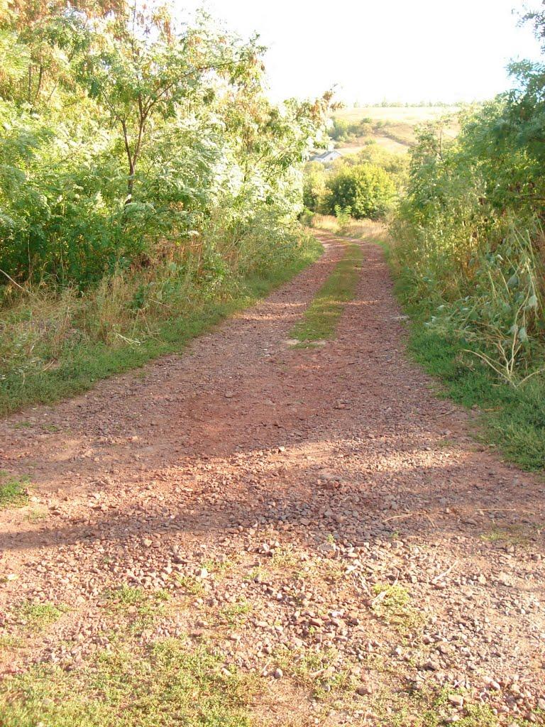 Берека з panoramio.com - Берека