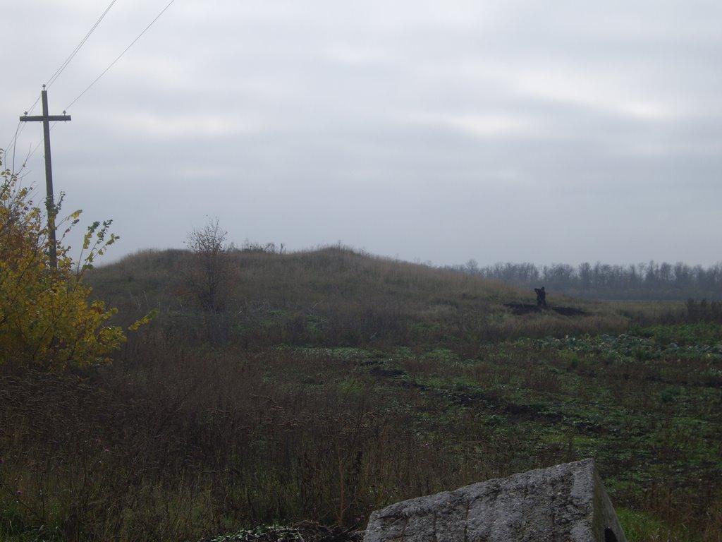 Лиса Гора з panoramio.com - Лиса Гора