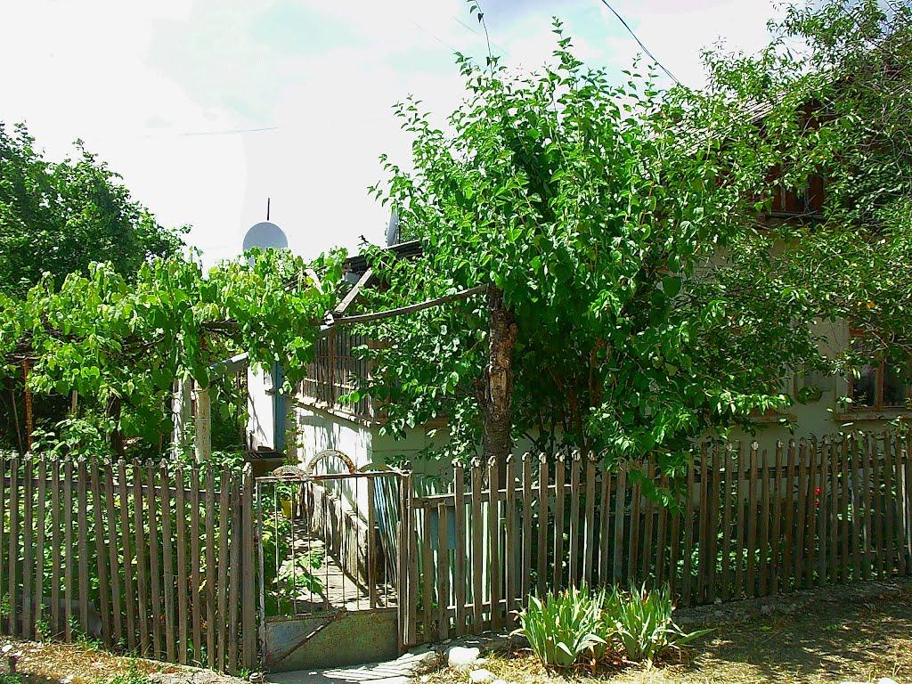 Голубинка з panoramio.com - Голубинка